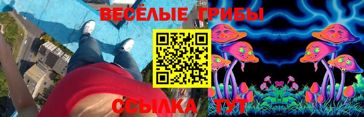 сколько стоит  Псилоцибиновые грибы Cubensis  Вход с VPN  Зерноград 
